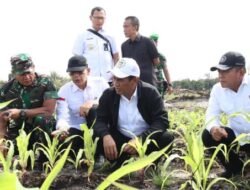 Berkunjung ke Palangka Raya, Wamenhan M. Herindra Tinjau Lokasi Food Estate