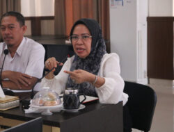 Manfaatkan Energi Baru Terbarukan, BRIDA Sulteng Gelar Workshop Riset PLTS