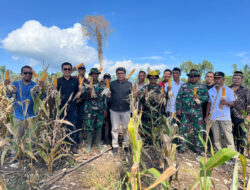 Manunggal Petani Bersama TNI Tingkatkan Produktivitas KPN Talaga