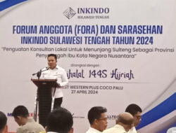 DPP Inkindo Sulteng Minta Pemerintah Daerah Lindungi Konsultan