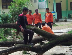 BPBD Kota Langsa Bersihkan kayu Tumbang di MIM Langsa Tahun 2024