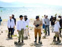 Rembuk Pemuda Sulteng Tanam 70.000 Mangrove, Fathur Razaq: Ini Sedekah Kita Untuk Alam