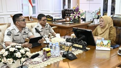 Wagub Sulteng Menerima Tim Diabetes Wound Expo 2025