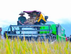 Hadiri Panen Raya Padi Perdana Di Desa Sibalaya, Gubernur Anwar Hafid Dukung Sigi Sebagai Lumbung Pangan Pertanian