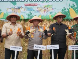 Perkuat Ketahanan Pangan Nasional, Polda Sulteng Laksanakan Panen Jagung Serentak Kuartal IV Tahun 2025