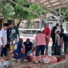 PT PLN Persero UP3 Palu Tebar Kepedulian Melalui Qurban Idul Adha 1447 H