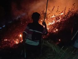 Karhutla di Kawasan Pegunungan Kaliali Sigi Berhasil Dipadamkan