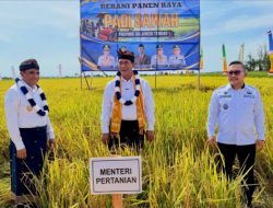 Gubernur Anwar Hafid Dorong Toili Jadi Percontohan Pertanian Modern, Target Produktivitas 10 Ton per Hektare