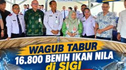 Wagub Reny Lamadjido Tabur 16.800 Benih Ikan Nila di Sigi