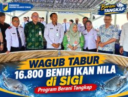 Wagub Reny Lamadjido Tabur 16.800 Benih Ikan Nila di Sigi
